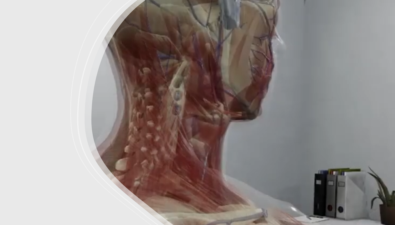 Manuelle Medizin - Technische Demo MM101